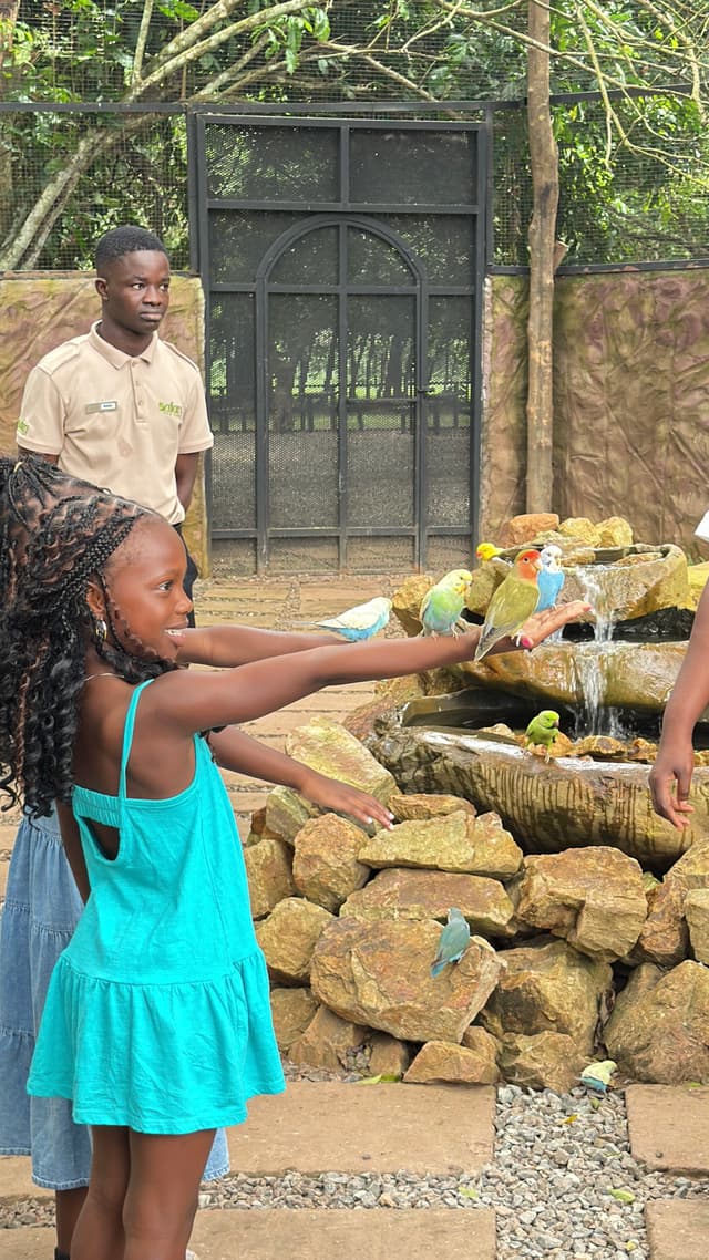 Hills, Thrills & Safari Valley