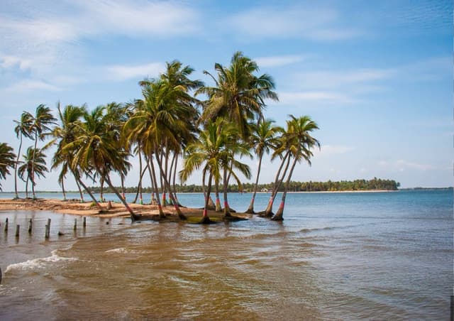 Ada Delight: Nkyinkyim Museum, Islands & Estuary Day Tour